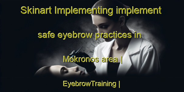 Skinart Implementing implement safe eyebrow practices in Mokronos area | EyebrowTraining | EyebrowClasses | SkinartTraining-Poland